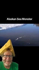 This strange sea monster has been spotted in Alaska for years | Joegillespiethegreat