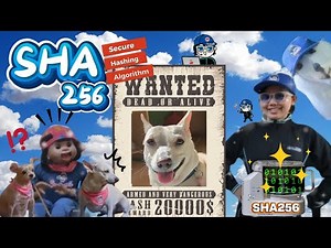 SHA 256: A Magical Math Blender - Breakthrough Junior Challenge 2025