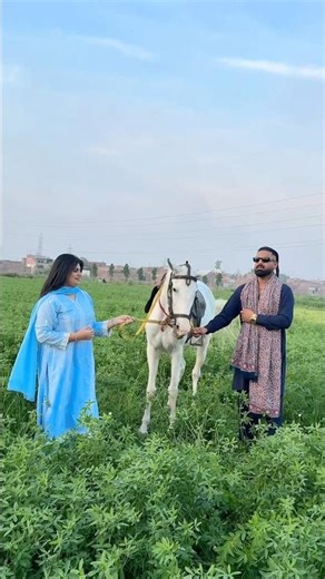 Yaar mod de | song | release | 7pm Monday#usmanvirk #virkfarm #shortvideo #punjabi #love #yaarmodde