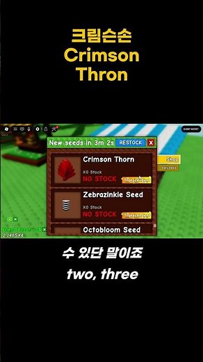 20해부자의 크림슨쏜 구매 crimson Thron grow a garden 그로우 어 가든 로블록스 리뷰 공략 후기 추천 Roblox Review, Guide 크림슨가시 2sx