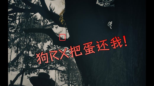 【RDROL】傻逼R星把我的琵鹭蛋卡树上 #6