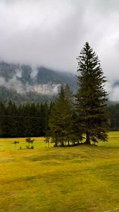 L.I.N.D.E.R.H.O.F.S.C.H.L.O.S.S. #roadtrip #tour #turism #travel #traveltheworld #travelphotography #architectur #architecturelover #architecturephotography #desing #sculpture #sculpting #marble #places #spots #locations #destinations #palace #royals #photography #photooftheday #autumn #landscape #views #linderhofschloss #linderhof #bayern #deutschland🇩🇪 #europe #davidinmünchen | David Cisneros Aguilera