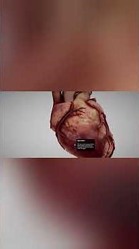 Human Heart Explained Simply | Aorta, Atrium & Ventricles | JKBrainSpark