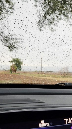 Ahh, the sound of rain. 🥰☔️ | Michael George Corey