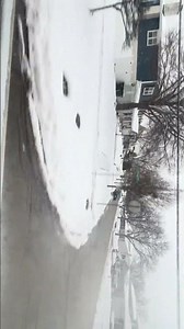 An Out the Window! 2012 IC CE Bus 246 (Covering For Bus 249) Ride Home from School