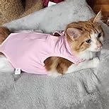 Cat Recovery Suit After Surgery, Breathable Cat Surgery Recovery Suit for Spay Abdominal Wounds or Skin Diseases, E-Collar Alternative Wear for Small Male Female Pets (Dark Grey, L)