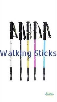 Walking Sticks Updated