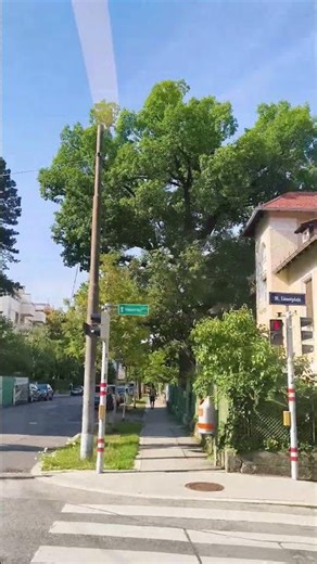 🎨 Vienna Bus Tour | Art, Streets & Culture #shorts