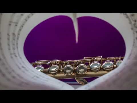 Architects - Hereafter (instrumental solo)