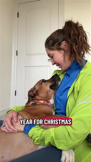 What Santa Should Bring for a Good Dog This Christmas