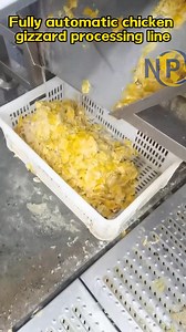 A complete automated processing line for chicken gizzards in slaughterhouses: Raw materials (chicken gizzards and viscera) → Separation → Cleaning → Opening and removing contents → Removing the inner lining (cornea) → Secondary cleaning → Grading/sorting → Quick-freezing/cooling → Weighing and packaging. Processing capacity: 2000-5000 chicken gizzards/hour (customizable based on production capacity). | NPW Slaughter＆Process Equipment