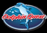 The Dolphin Quest | Sunshine Scenic Tours