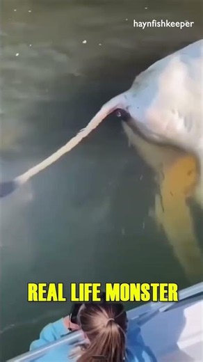 Real Life SEA MONSTER