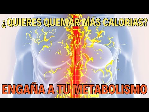 El Cuerpo Humano: La Verdad Sobre el Metabolismo y Cómo Activarlo | Ciencia y Salud