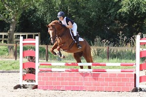 6 tips from the top to conquer jumping spooky fences - Horse & Hound