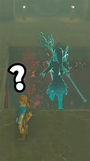 【ティアキン】 お前たち、何してる #ゼルダの伝説 #zelda #ゼルダの伝説ブレスオブワイルド #ゼルダの伝説ティアーズオブザキングダム