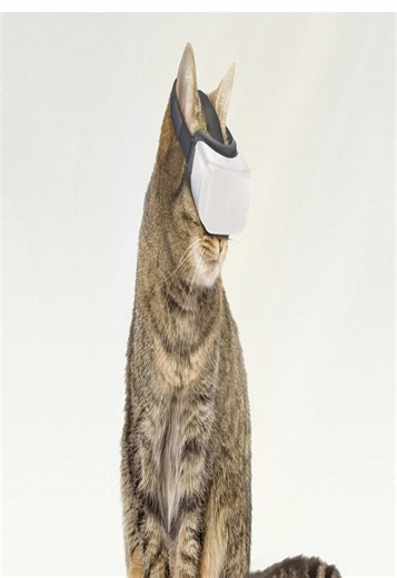 ¹⁻⁸⁰⁰⁻ᶠʳᵉᵉᵈᵒᵐ (@2001freedom)’s video of People Pretending To Be At A Party