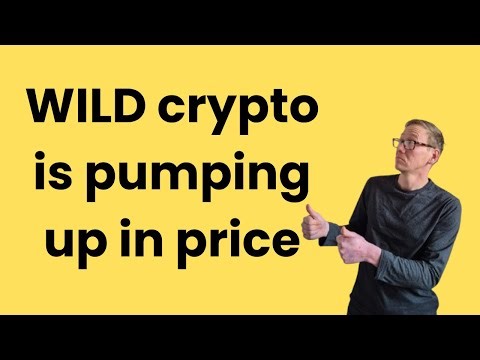 Wilder World WILD crypto review - should get tasty profit