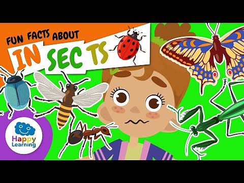 🐞 Learn ALL About INSECTS | Educational Videos for Children | ‪@HappyLearningENG‬