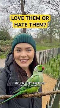 the birds EVERYONE talks about ‼️🦜
