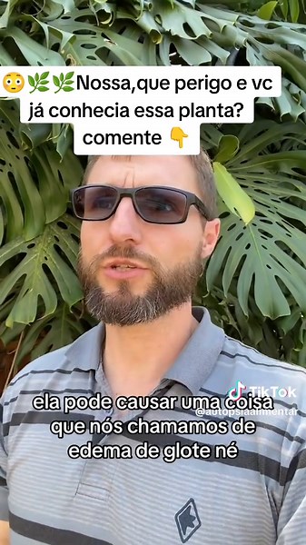 Perigos da Planta Banana do Macaco: Cuidado!