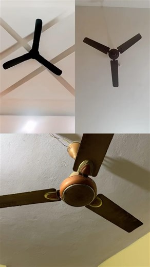 Ceiling fan funny | #shorts #ytshorts #shortsfeed #ceilingfan #fan