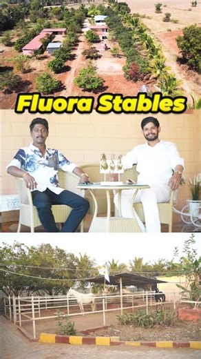 Nukra 🌟 Marwar Horse Paradise | Fluora Stables Resort Style Farm house | Farm tour