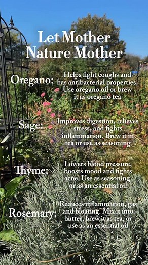 16K views · 14K reactions | Comment HERBS if you’re determined to...