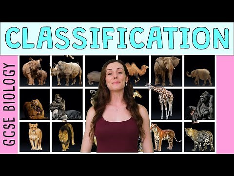 CLASSIFICATION GCSE Biology 9-1 | Combined Science (Revision & Qs)