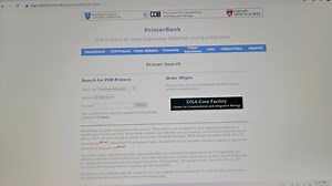 【科研小白摸爬滚打】【网站推荐】【Primerbank】超简单方法设计qPCR引物