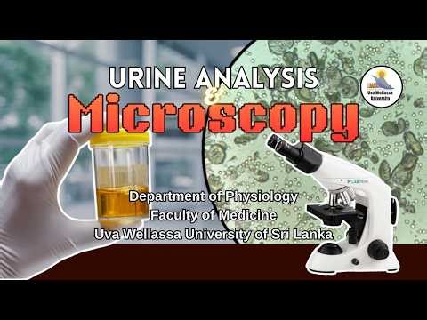 Urine Analysis and Micrscopy