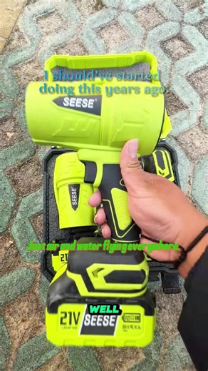 Stop Wiping: The Leaf Blower Revolution