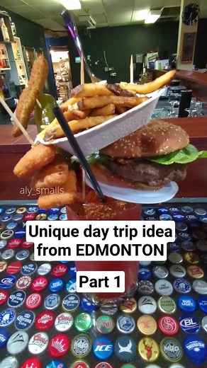 Unique day trip idea from Edmonton part 1: this one is perfect for a rainy day! I call it Babas, Bison and Big Ass Caesars - read my blog post for 12 more ideas ✌️#yeg #explorealberta #yegtravel #edmontonthingstodo #yegroadtrip #exploreab #travelalberta #goeastofedmonton #alberta #yegfood #roadtrip #traveltiktok #canadatiktok #albertatravel #smalltowns #edmonton