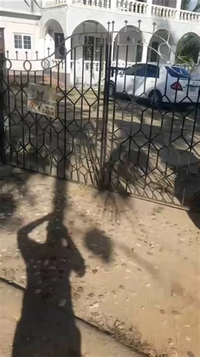 1.1K reactions · 131 shares | House for sell in Spring Valley St. Mary Parish Close to Tower Isle 6min to Ocho Rios $45 Million jamaican call and whastapp 18764415525 | RealDrlovemusic | Facebook