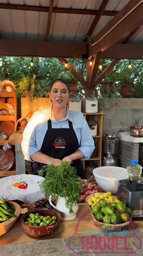 Ana Raquel Hernandez on Instagram: "Cocinando con Mr. Tempo en familia, nos la pasamos muy agusto! Video completo en mi canal de YouTube: Cocinando Con Raquel!!🥰❤️❤️ #cocinandoconraquel #cocina #comidamexicana #mrtempo"