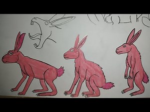 Sound Effects-Pinkieuropean Hare