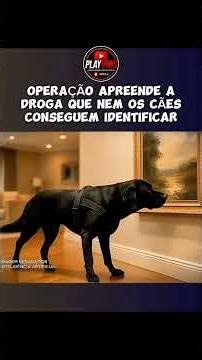 =====🚨 MANSÃO DO TRÁFICO É DESCOBERTA: Polícia encontra cocaína escondida em móveis #atualidades