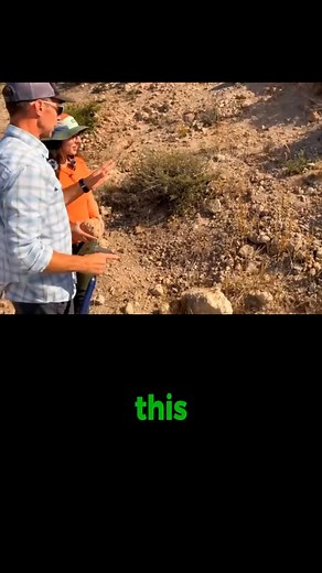 Full video on Geo Girls youtube channel. Check out more from me on my channel- Shawn Willsey: Geology Explained #fyp #shawnwillsey #geology #nature | Shawn Willsey: Geology Explained