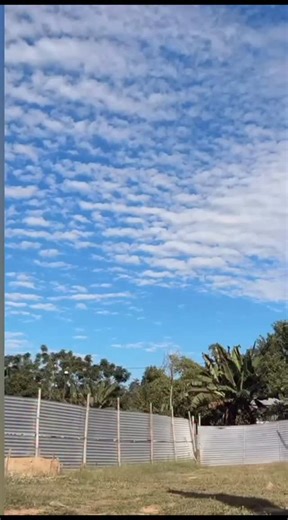 Protima Teronpi on Instagram: "Chaka chak💃💃"