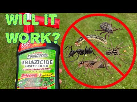 Spectracide Triazicide Insect Killer Reveiw and Demonstration | DIY #diy #bugs #pestcontrol #pests