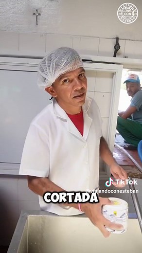 Proceso de Elaboración del Queso Mozzarella