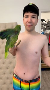 My talking parrot | Nikocado Avocado