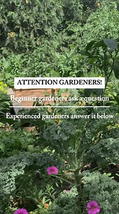 Calling all gardeners! Let’s help each other out with a little game of ask and answer. Beginner gardeners – ask those burning questions. Experienced gardeners, chime in! Believe it or not, if you can answer some of the questions in this comment section, then you can get paid to answer garden questions in the real world too. You’d be amazed at how many beginner gardeners have questions they’d LOVE to be able to pose to someone with a few more years of garden experience than them. If that’s you, c