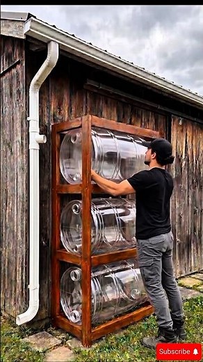 DIY Rainwater Harvesting System for Your Garden