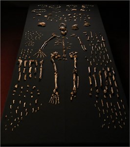 Cave divers uncover new humanlike species in South Africa