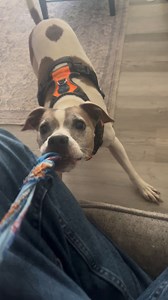 John Freeman on Reels