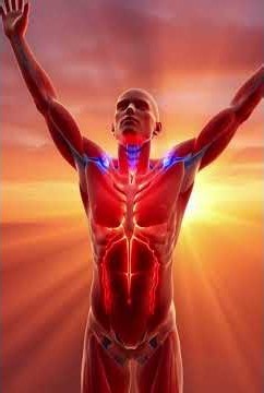 The Real Reason Your Body Feels Stiff After Waking Up | 3D Medical Animation