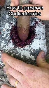 Preserving chokecherries the traditional way #traditional #survival #SelfSufficiency #wildfood | Seth Larsen