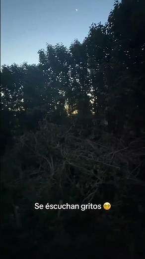 The wail of La Llorona 😵‍💫 #apparitions #apparitions #terrorandmystery #terrifying #fear