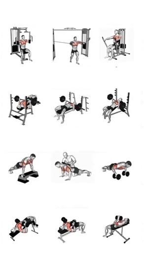 Best Chest Workout at Gym Build Bigger Chest Fast